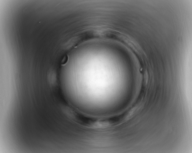 X0000099980270200805231430