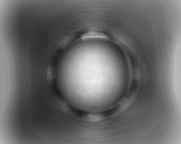 X0000099980272200805231430