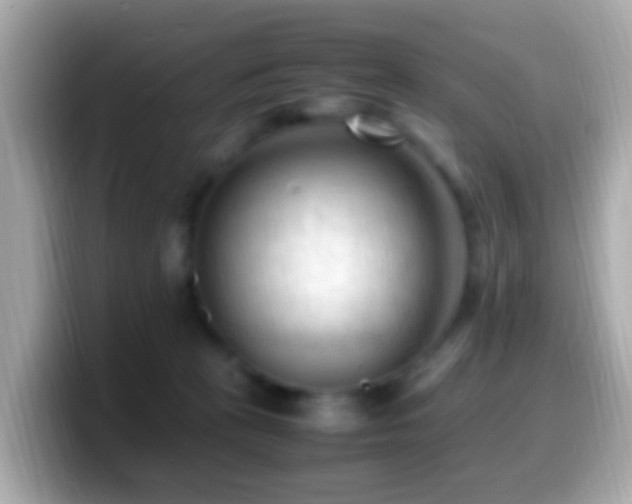 X0000099980273200805231430