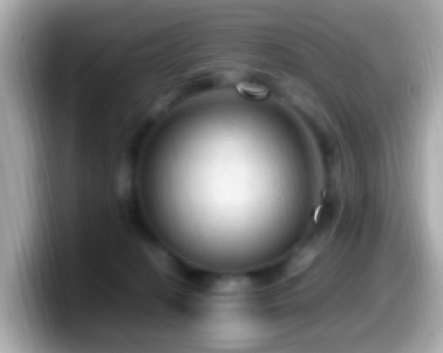 X0000099980274200805231430