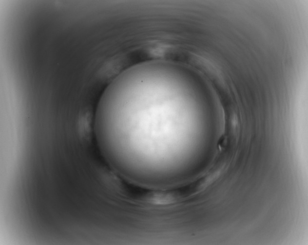 X0000099980275200805231431