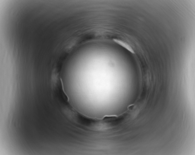 X0000099980276200805231431