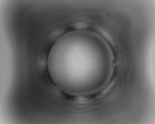 X0000099980277200805231431