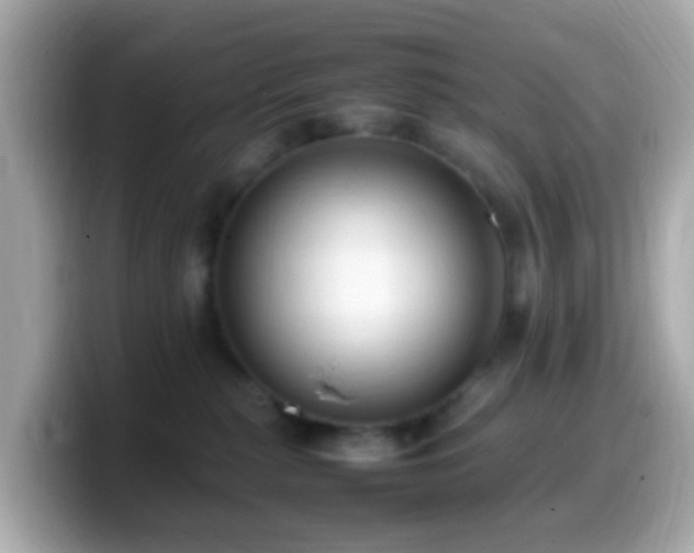 X0000099980279200805231431