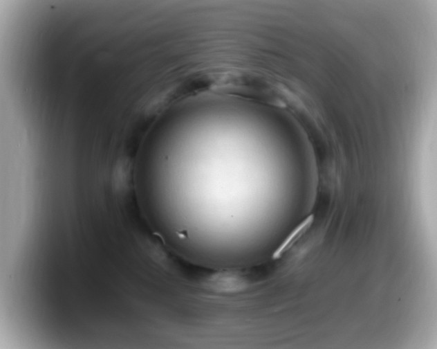 X0000099980280200805231431