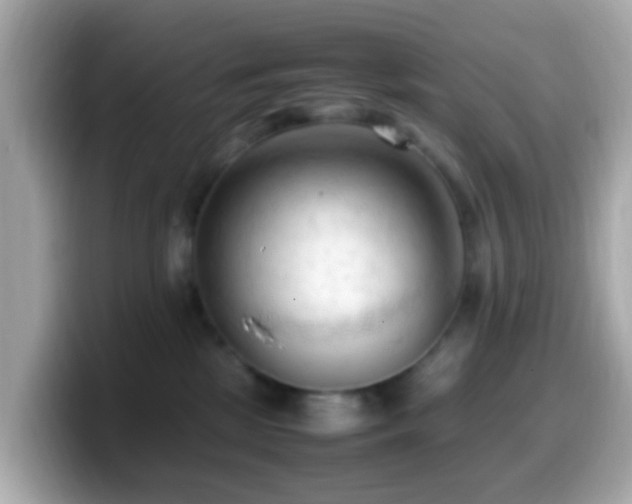 X0000099980281200805231431