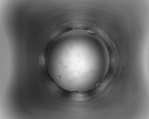 X0000099980282200805231431