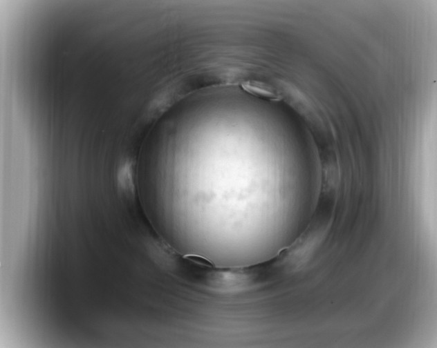 X0000099980286200805231431