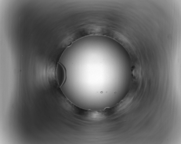 X0000099980287200805231431