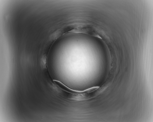 X0000099980288200805231431