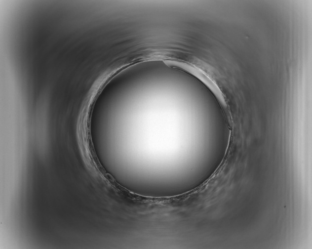 X0000099980289200805231430