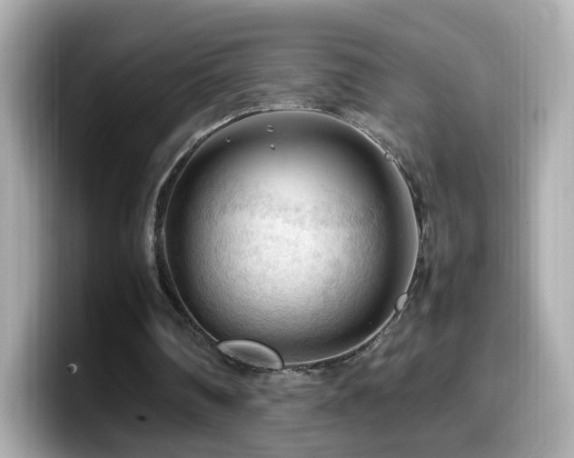 X0000099980290200805231430