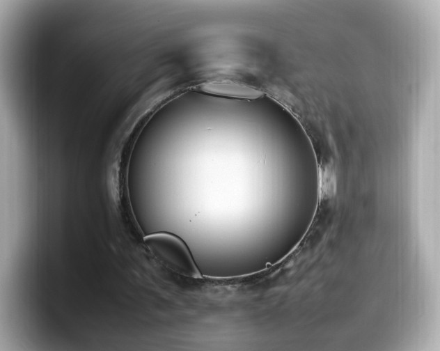 X0000099980291200805231430