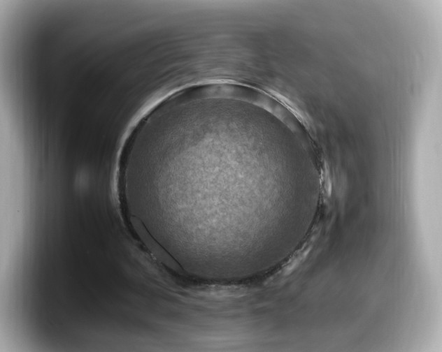 X0000099980292200805231430