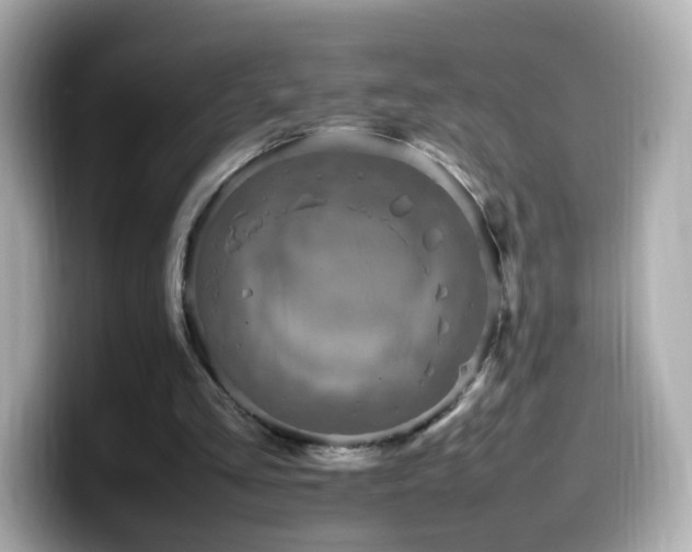 X0000099980293200805231430