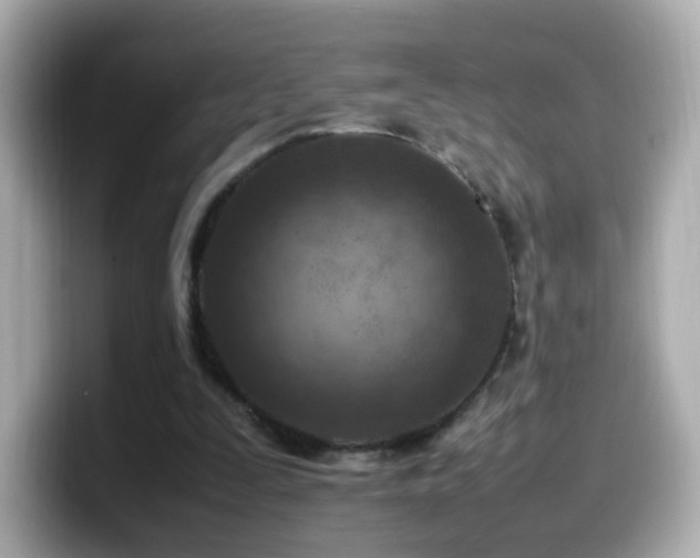 X0000099980295200805231430