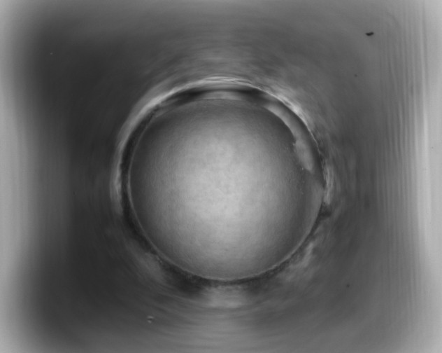 X0000099980296200805231430