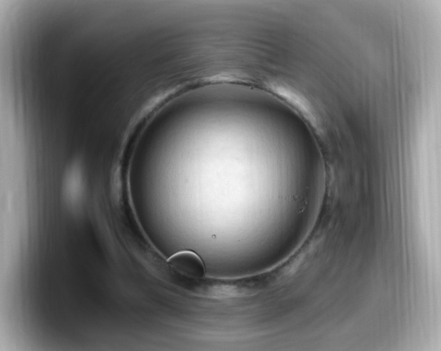 X0000099980298200805231430