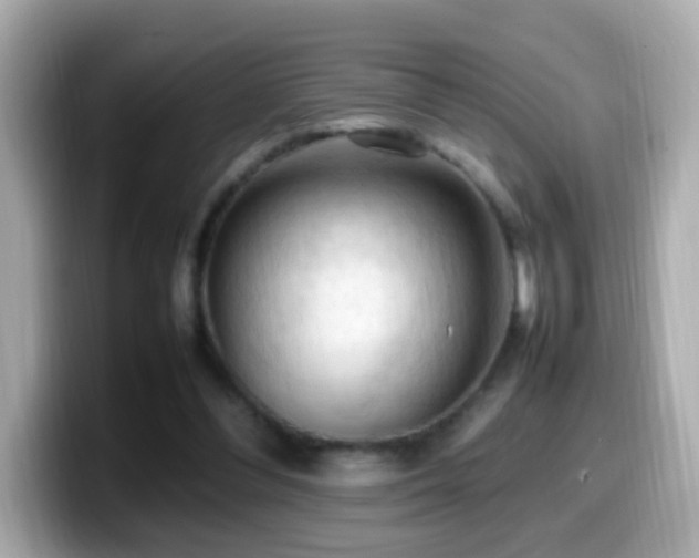 X0000099980300200805231430