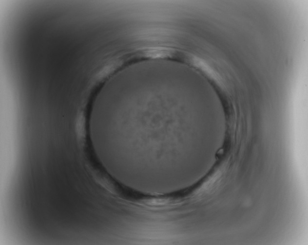 X0000099980303200805231430