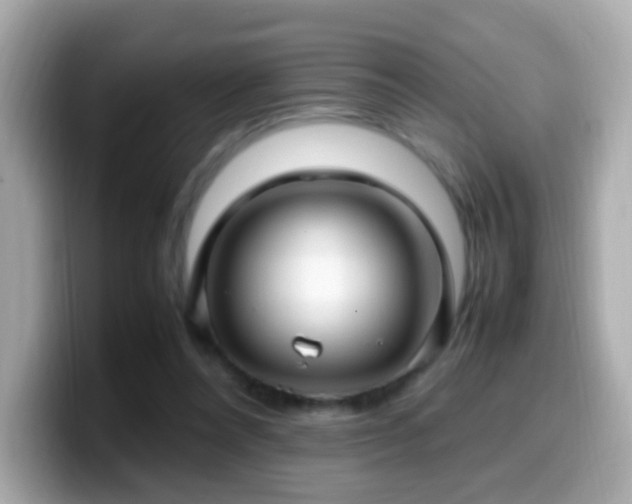 X0000099980304200805231430