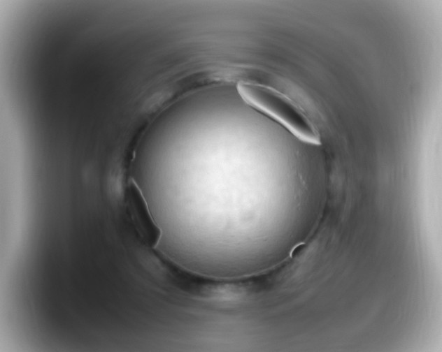 X0000099980305200805231430