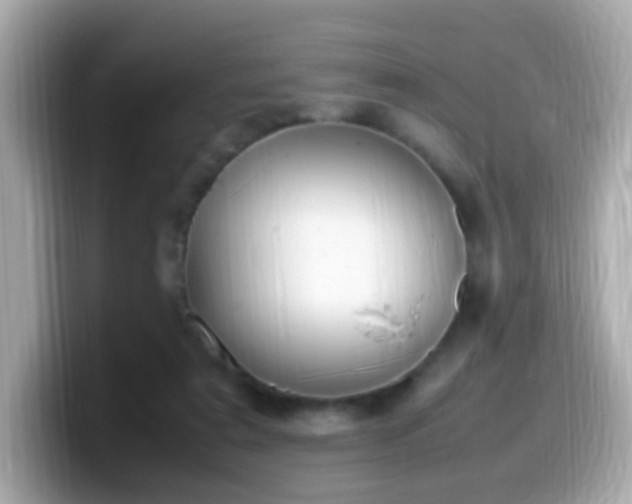 X0000099980307200805231430