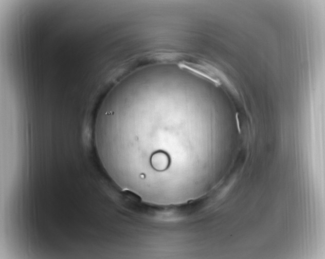 X0000099980309200805231430