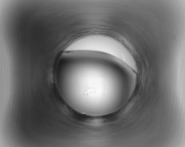 X0000099980313200805231430
