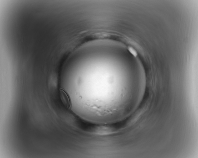 X0000099980315200805231430