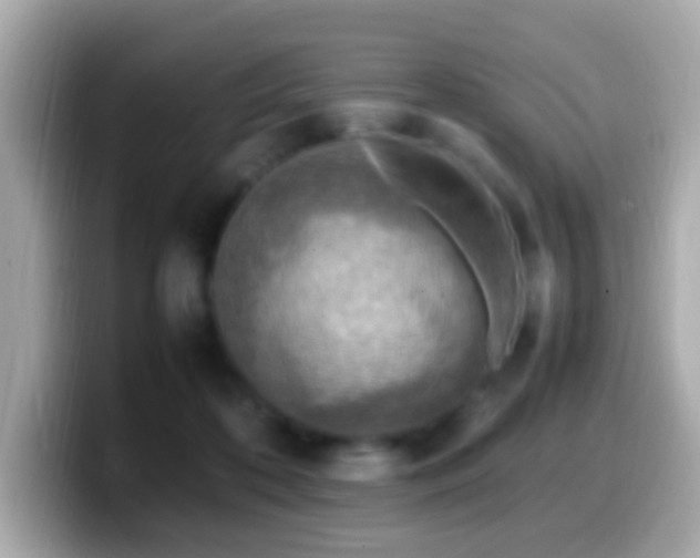 X0000099980316200805231430
