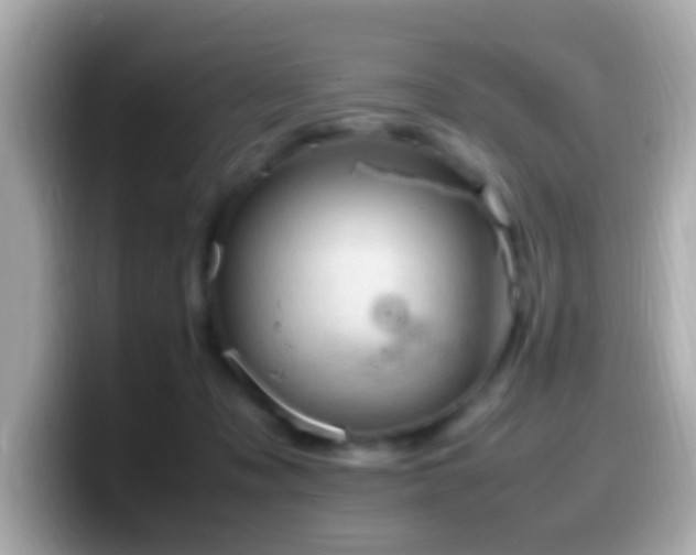 X0000099980317200805231430