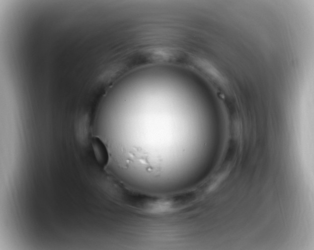 X0000099980318200805231430