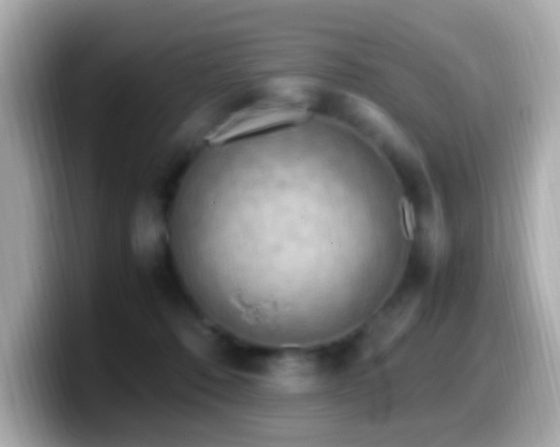 X0000099980320200805231430