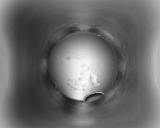 X0000099980321200805231430