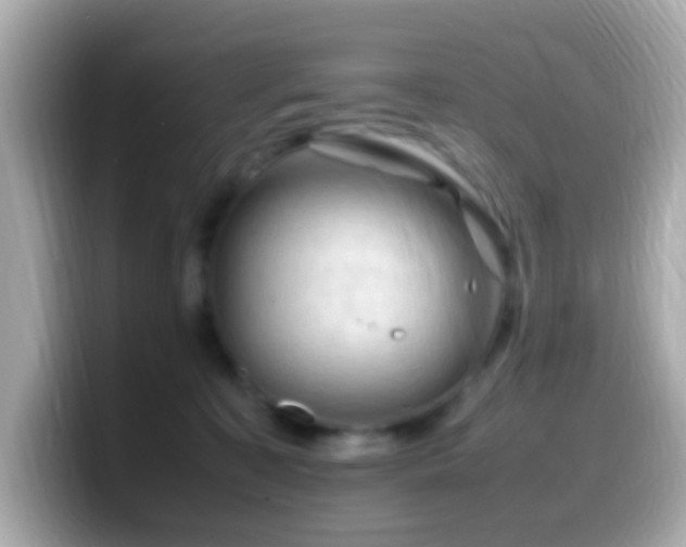 X0000099980323200805231430