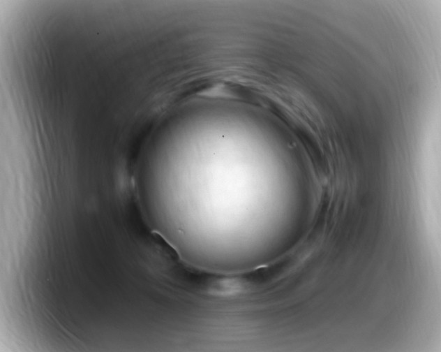 X0000099980324200805231430