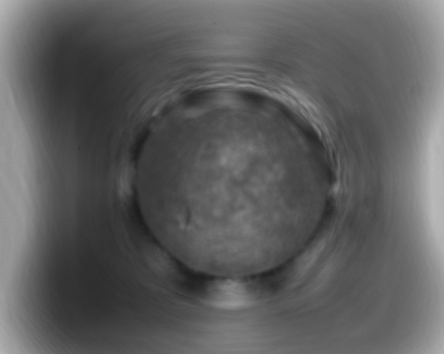 X0000099980325200805231430