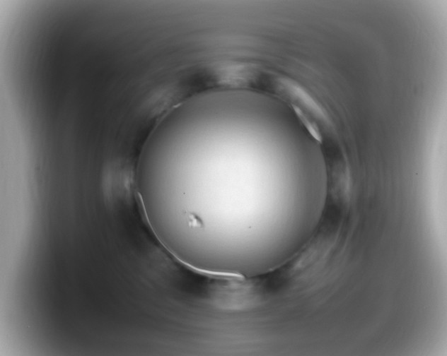 X0000099980329200805231430