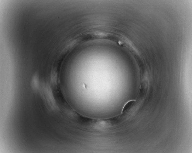 X0000099980330200805231429