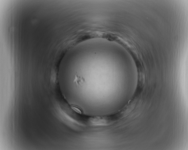 X0000099980331200805231429