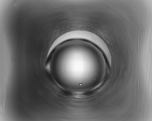 X0000099980336200805231429