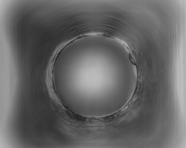 X0000099980337200805231429