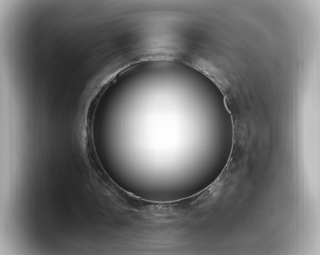 X0000099980338200805231429