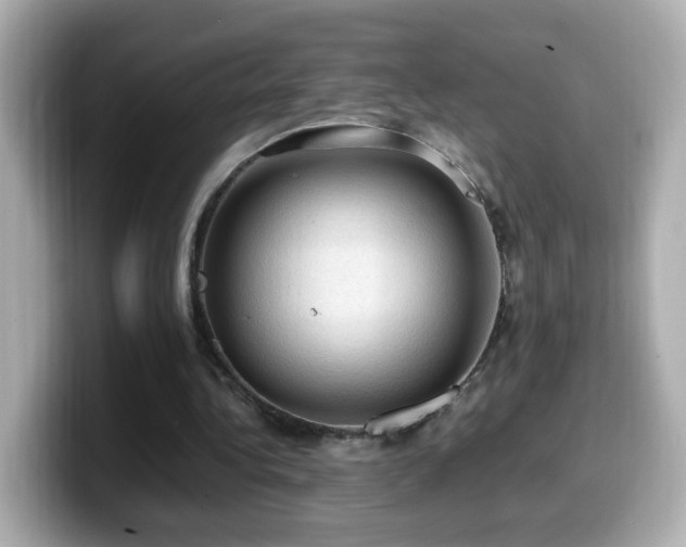 X0000099980340200805231429