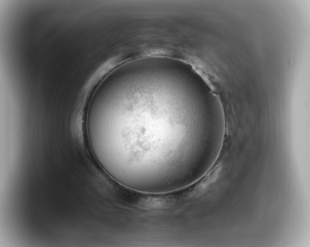 X0000099980341200805231429