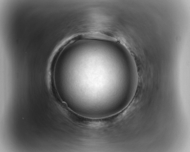 X0000099980342200805231429