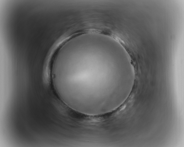 X0000099980343200805231429