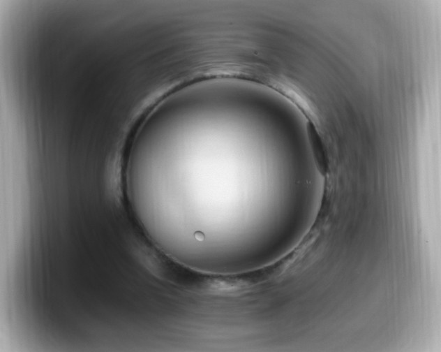 X0000099980346200805231429