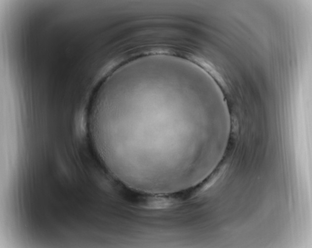 X0000099980347200805231429